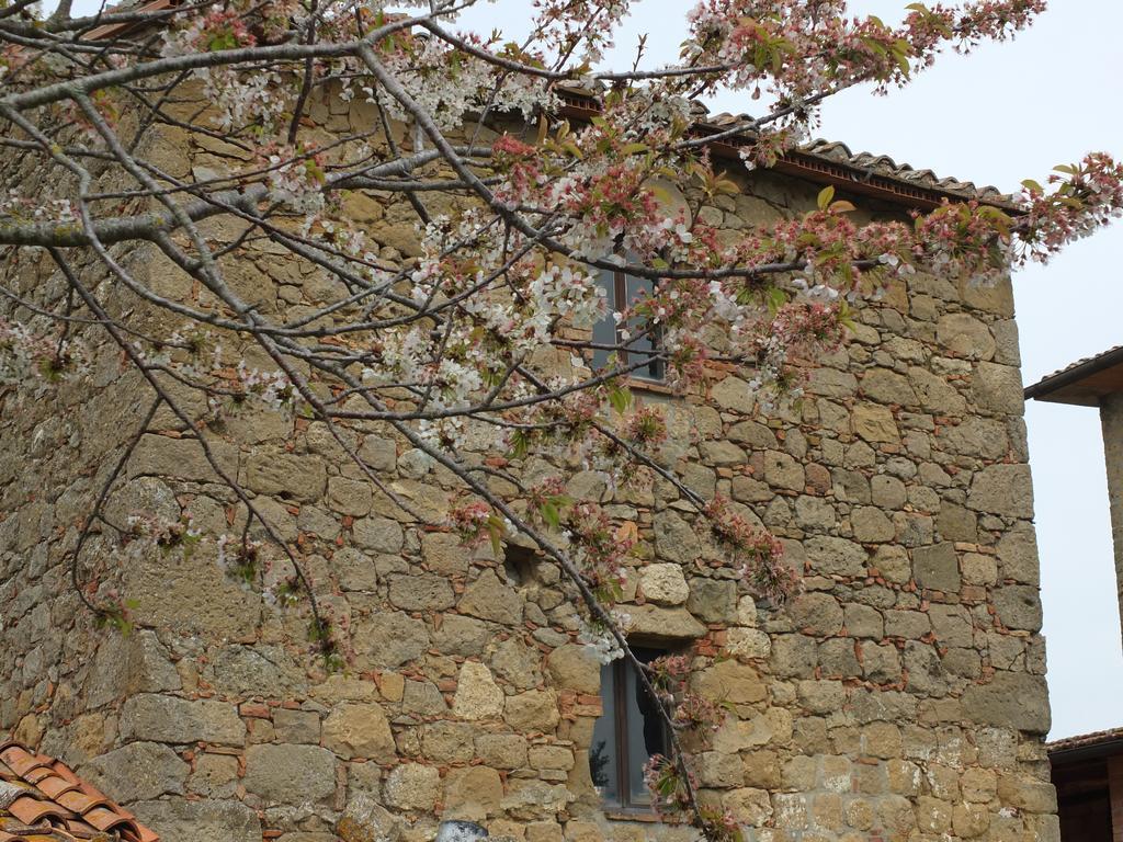 Agriturismo Riposati Monticchiello Exterior photo